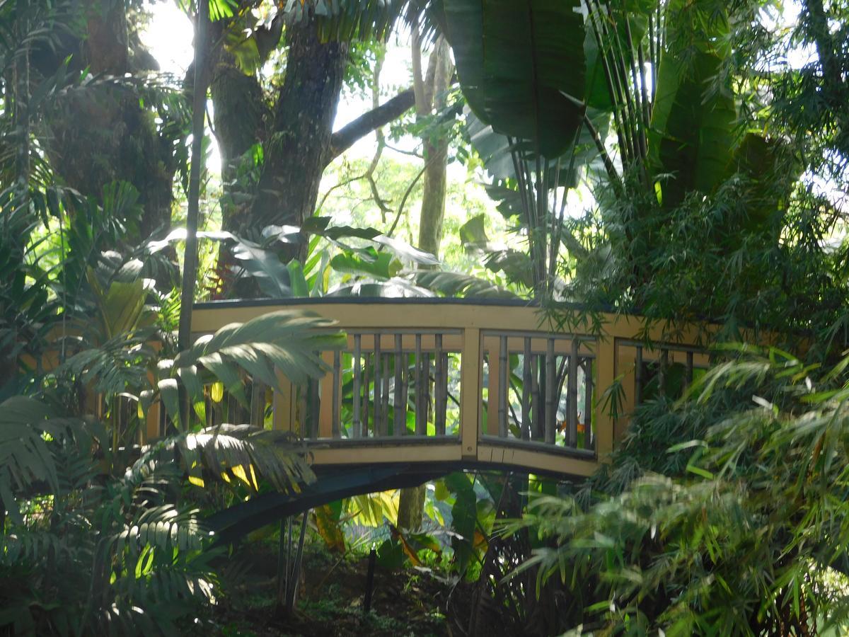 Rainforest Eco Lodge Suva Exterior foto