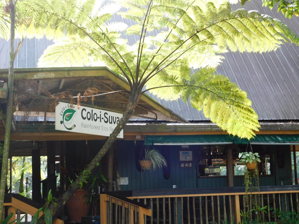 Rainforest Eco Lodge Suva Exterior foto